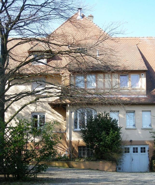 Aux Berges De La Thur Staffelfelden Buitenkant foto